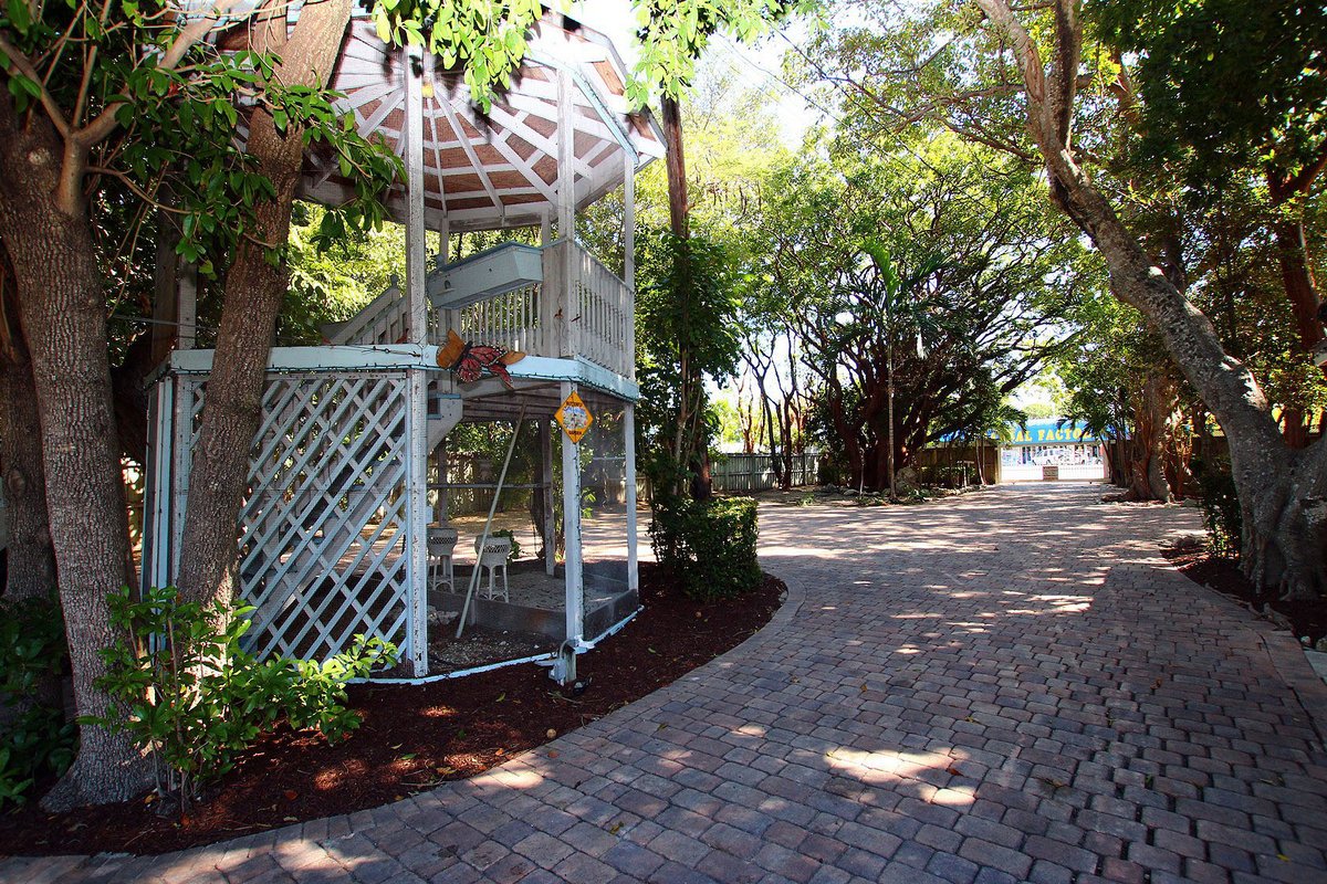 The old butterfly gazebo at Butterfly House Islamorada
